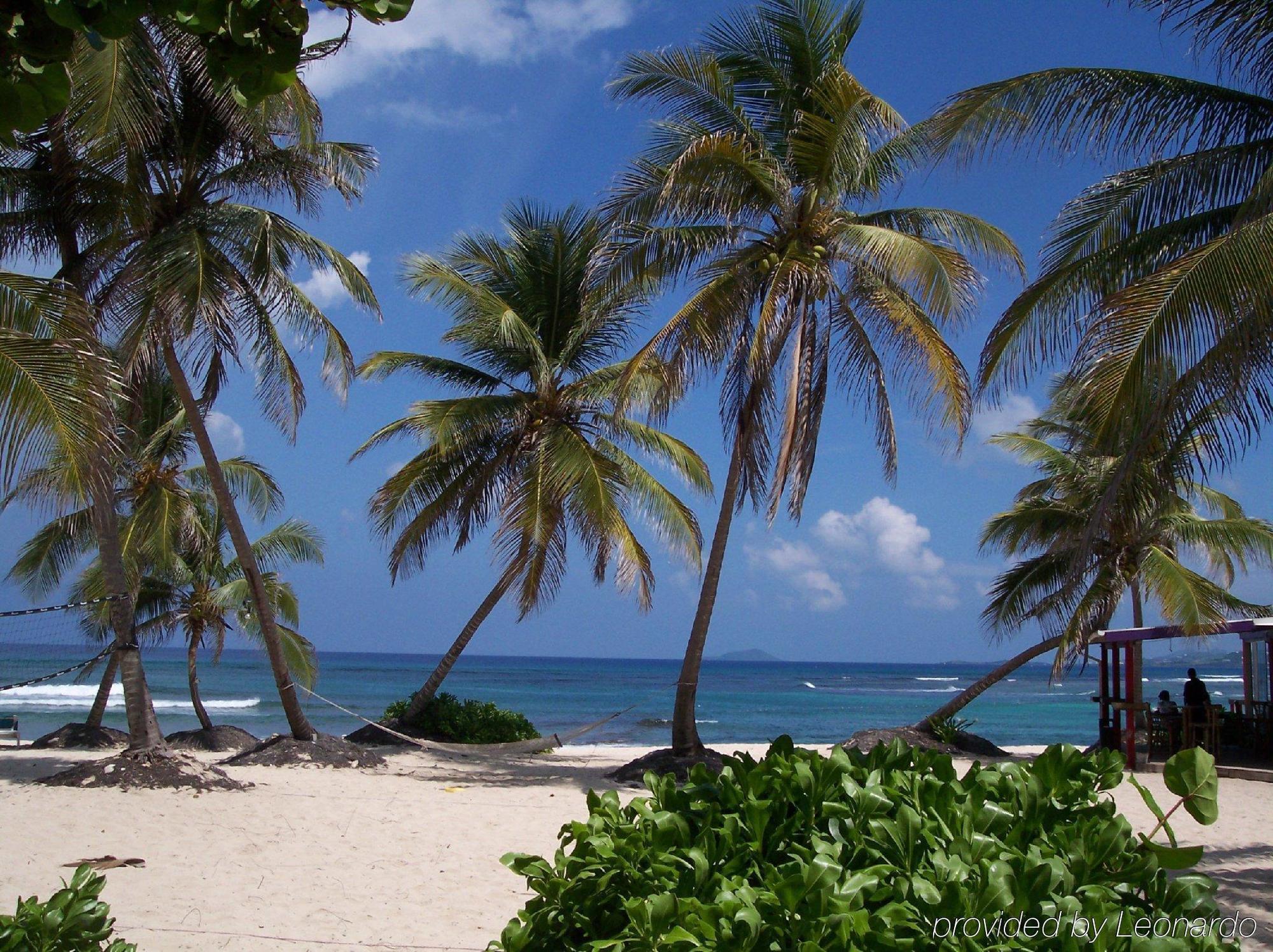 Hibiscus Beach Resort Christiansted Exterior photo